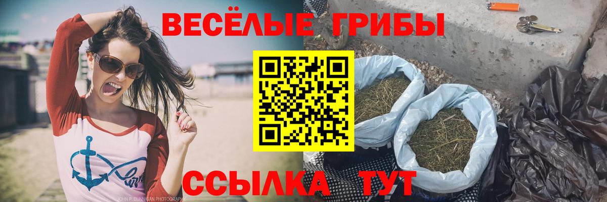 Псилоцибиновые грибы MAGIC MUSHROOMS Нововоронеж